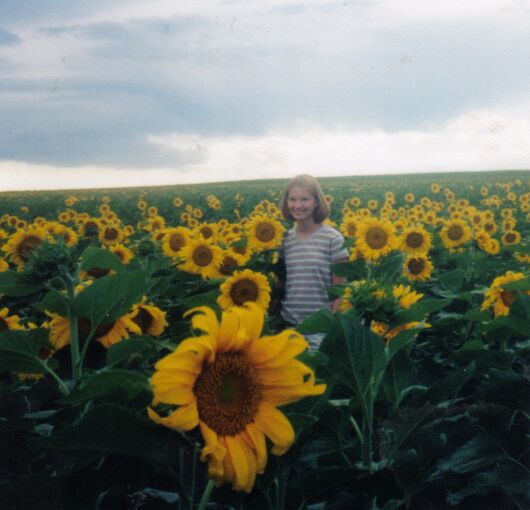 cl_sunflowers.jpg